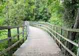 Island Lake Conservation Area