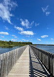 Island Lake Conservation Area