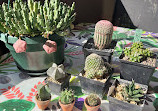 Rare plants market in Grugapark