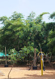 Legon Botanical Gardens Playground