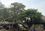 Legon Botanical Gardens Playground