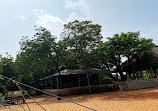 Legon Botanical Gardens Playground