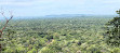 Sigiriya