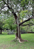 Sigiriya