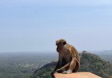 Sigiriya