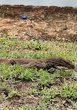 Sigiriya