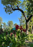 Jardim Botânico da Universidade de Friburgo