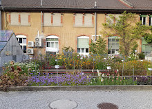 Giardino botanico dell'università di Friburgo