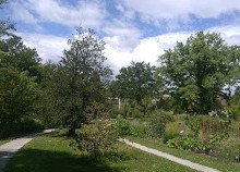 Giardino botanico dell'università di Friburgo