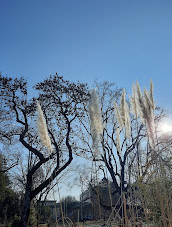 Botanische tuin van de Universiteit van Fribourg