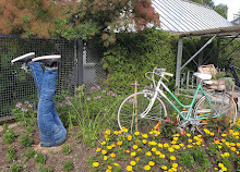 Giardino botanico dell'università di Friburgo