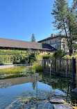 Jardim Botânico da Universidade de Friburgo