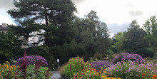 Giardino botanico dell'università di Friburgo