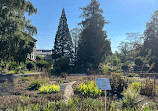 Jardim Botânico da Universidade de Friburgo