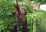 Fribourg University Botanical Garden