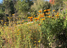 Botanische tuin van de Universiteit van Fribourg