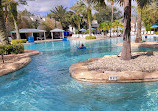 Reunion Resort Water Park