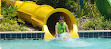 Surfari Water Park at The Grove Resort