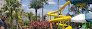 Surfari Water Park at The Grove Resort