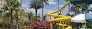 Surfari Water Park at The Grove Resort