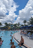 Surfari Water Park at The Grove Resort