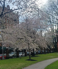 Pratt Institute