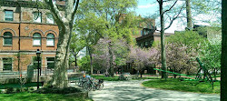 Pratt Institute