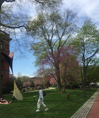 Pratt Institute