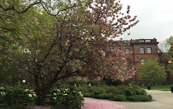 Pratt Institute