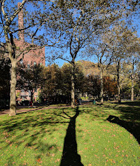 Pratt Institute