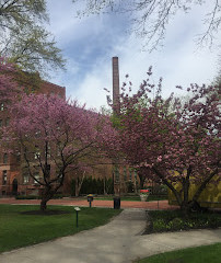 Pratt Institute