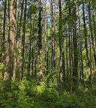 Clopper Lake