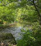 Clopper Lake