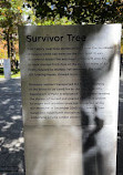 Survivor Tree