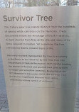 Survivor Tree