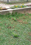 Zappeion Garden