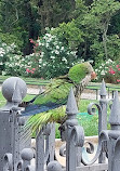 Zappeion Garden