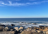 Halibut Point Reservation