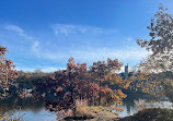 Halibut Point Reservation