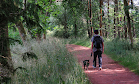 Palacerigg Country Park