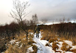 Palacerigg Country Park