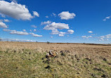 Palacerigg Country Park