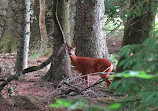 Palacerigg Country Park