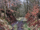 Palacerigg Country Park