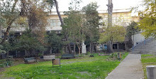 School of Medicine