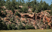 Sentiero della palude di mirtilli rossi