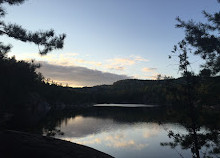 Sentiero della palude di mirtilli rossi