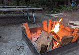 Tamarack Campsites