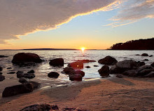 Awenda Park Beach 4