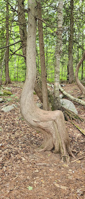 Awenda Park Beach 4